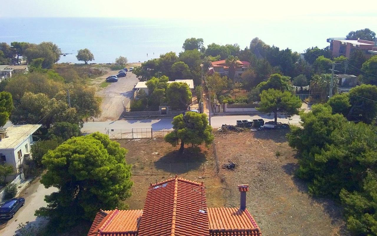 Augoustinos - Sea Side Luxury Apartments Artemida  Exterior photo